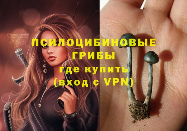 трава Елизово