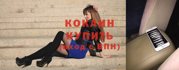 apvp Дмитров
