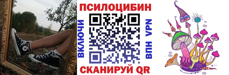 Галлюциногенные грибы Psilocybine cubensis  Жуковский 